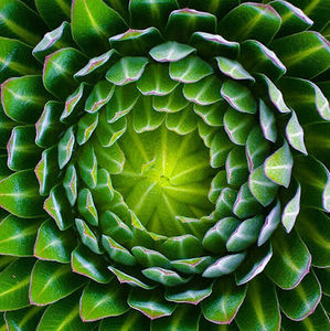 Meet your Posher, Michaela